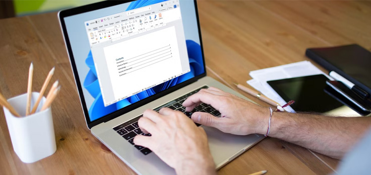 Document formatting in a word processor