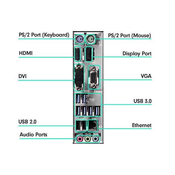 The ports on the back of a PC motherboard.