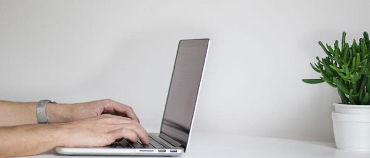 Person using a stylish laptop on a minimal desk with a plant
