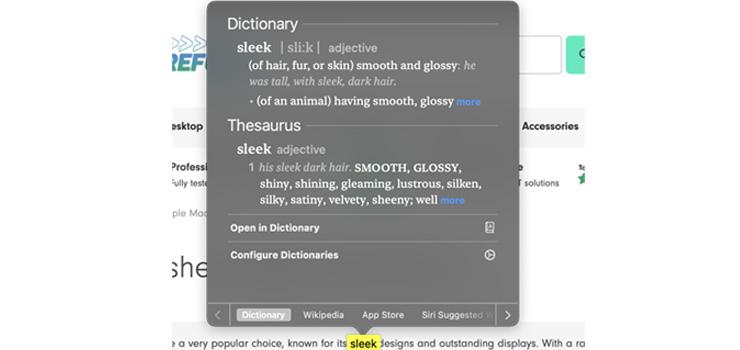 MacBook screen displaying dictionary window